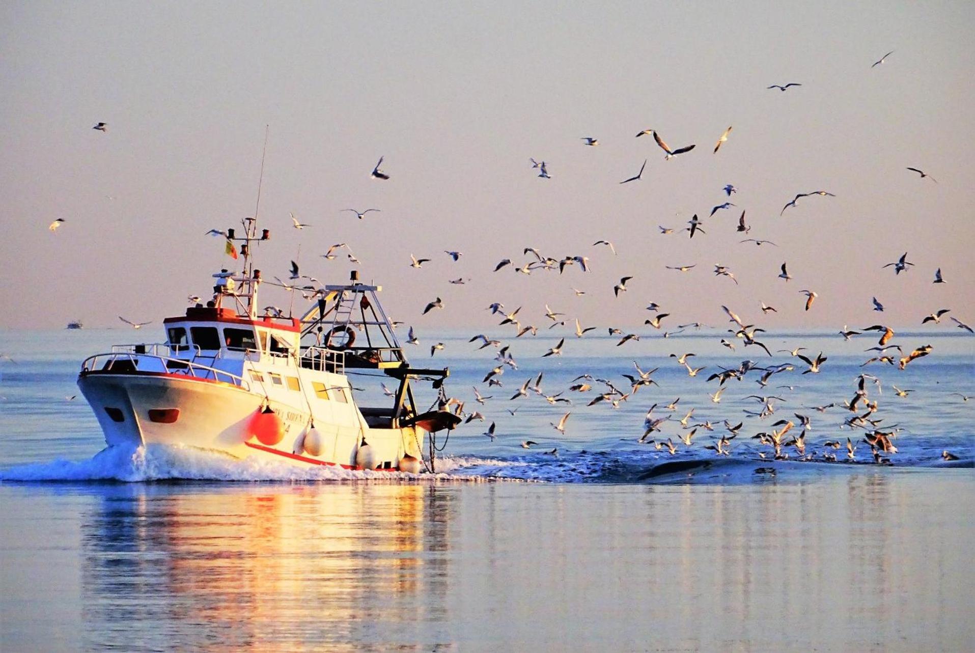 La Casa Del Pescatore N 33 - Porto Di St Spirito Бари Екстериор снимка